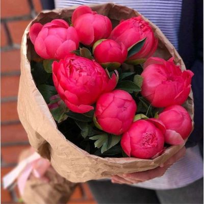Букет пионов 9 шт. коралловые (Голландия)