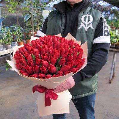 Букет из 101 бордового тюльпана в крафте