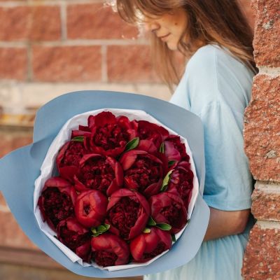 Букет пионов 15 шт. бордовые (Голландия)