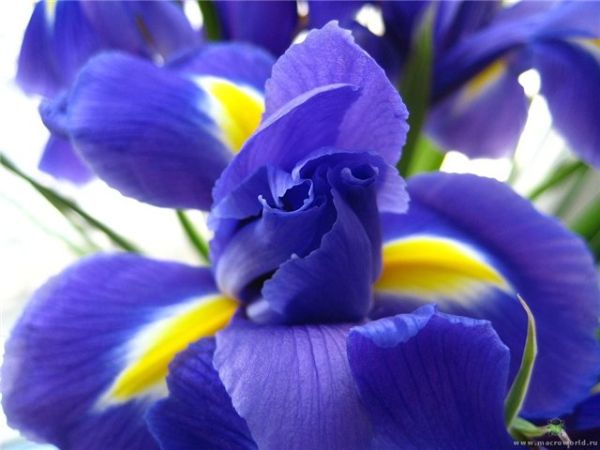 фото - 1