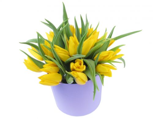 Коробка с 25 тюльпанами 4