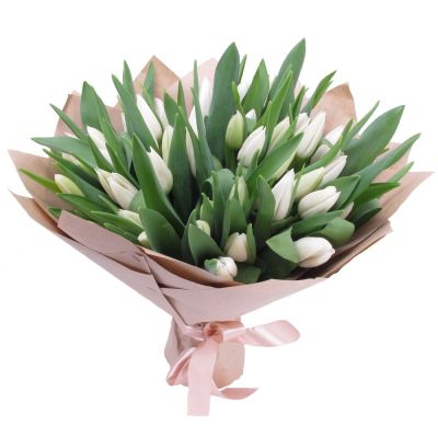 Букет из 51 тюльпана в крафте (белые)