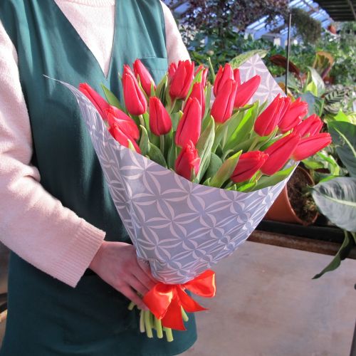 Букет из 25 бордовых тюльпанов