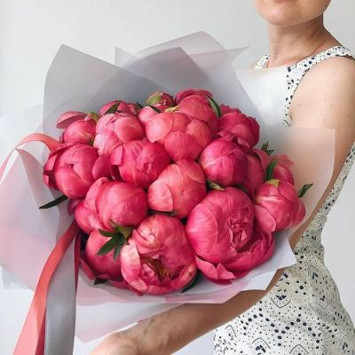 Букет пионов 15 шт.  коралловые (Голландия)