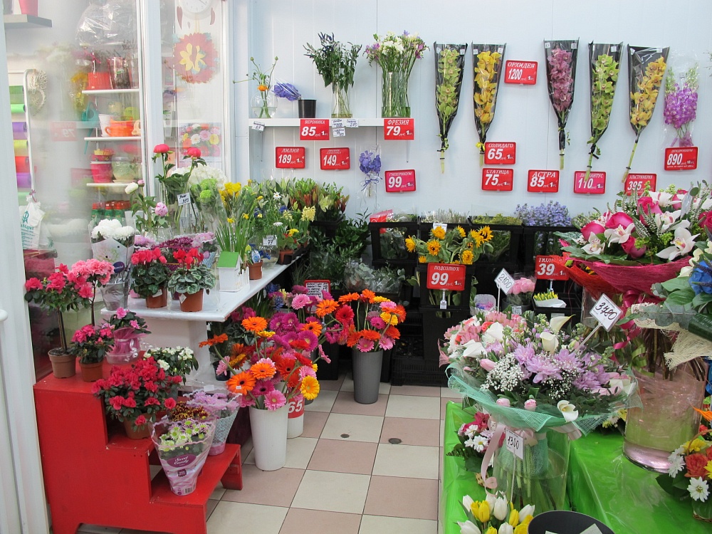 Купить цветы недорого cvbaza. Цветы в цветочном магазине. Цветы в цветочном магазине ассортимент. Цветочный магазин рядом. Цветочный магазин на рынке.