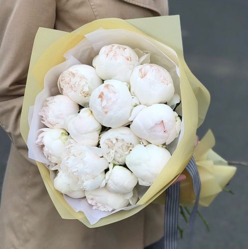 Букет пионов 15 шт. белые (Голландия)