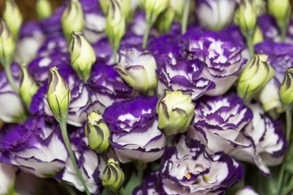 фото - 1