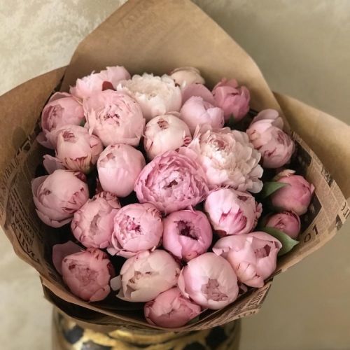 Букет пионов 25 шт. розовые (Голландия)